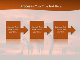 Orange Africa Kenya PowerPoint Template