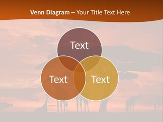 Orange Africa Kenya PowerPoint Template