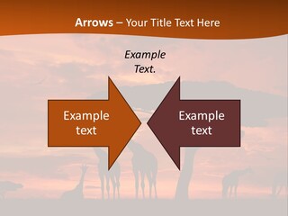 Orange Africa Kenya PowerPoint Template