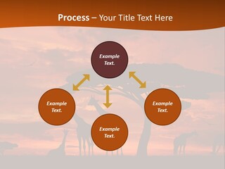 Orange Africa Kenya PowerPoint Template