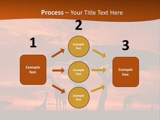 Orange Africa Kenya PowerPoint Template