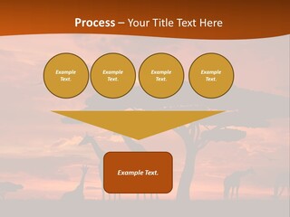 Orange Africa Kenya PowerPoint Template