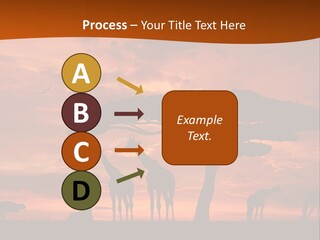 Orange Africa Kenya PowerPoint Template