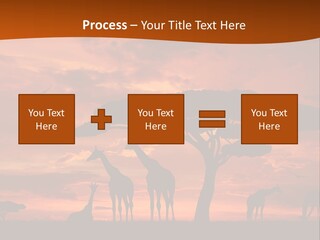 Orange Africa Kenya PowerPoint Template