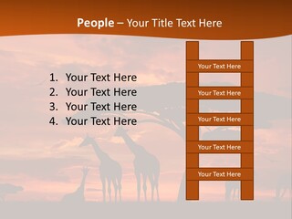 Orange Africa Kenya PowerPoint Template