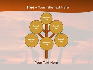 Orange Africa Kenya PowerPoint Template