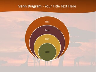 Orange Africa Kenya PowerPoint Template