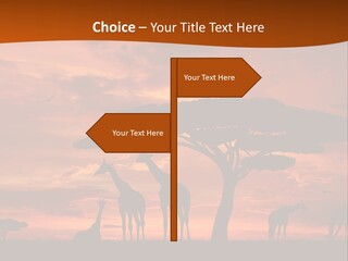 Orange Africa Kenya PowerPoint Template