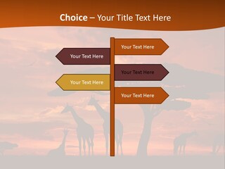 Orange Africa Kenya PowerPoint Template