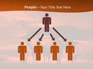 Orange Africa Kenya PowerPoint Template
