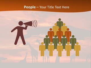 Orange Africa Kenya PowerPoint Template