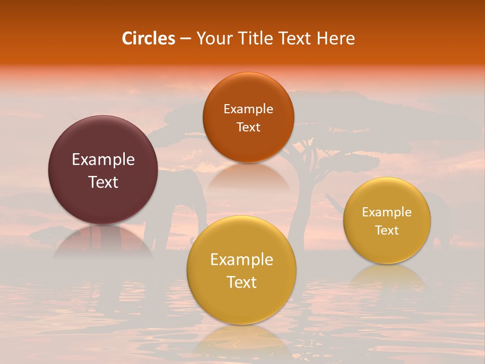 Tourist Wallpaper Mirror PowerPoint Template