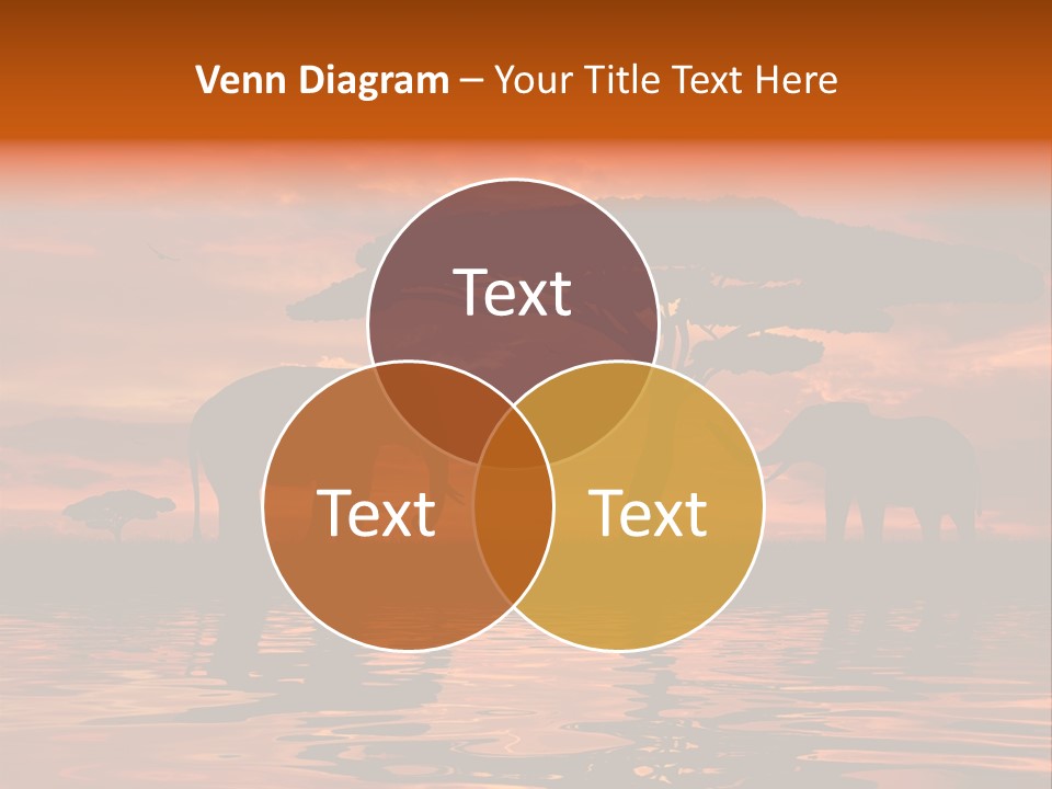 Tourist Wallpaper Mirror PowerPoint Template