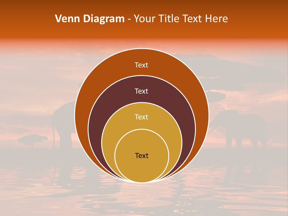 Tourist Wallpaper Mirror PowerPoint Template