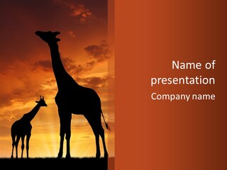 Dusk Sunlight Silhouette PowerPoint Template