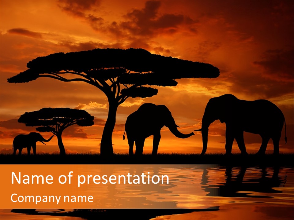 Wave Dawn Nature PowerPoint Template