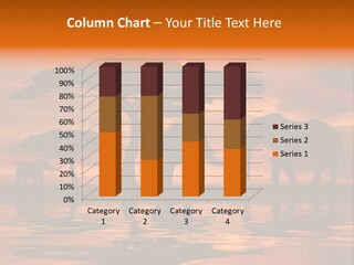 Wave Dawn Nature PowerPoint Template