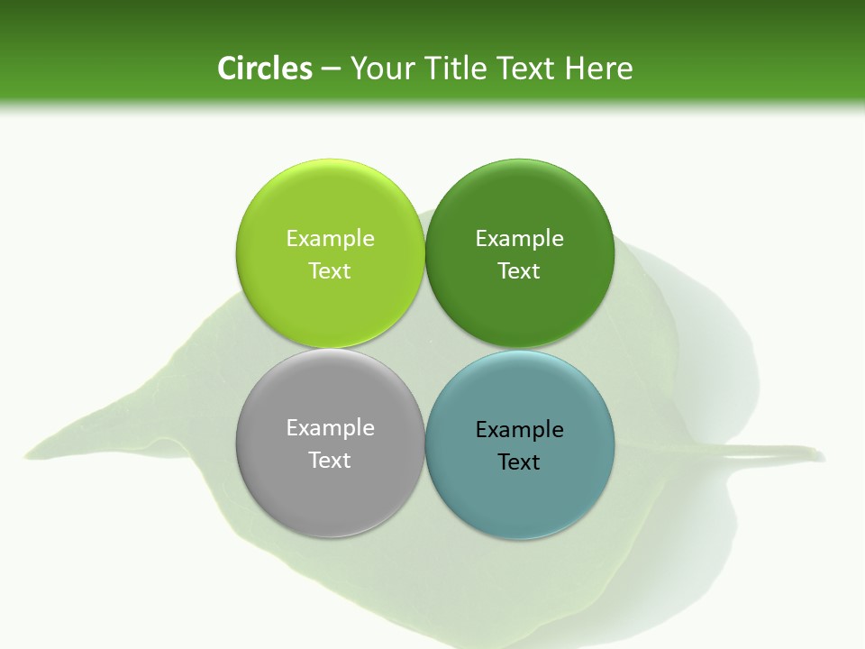 Feuilles Nature Feuille PowerPoint Template