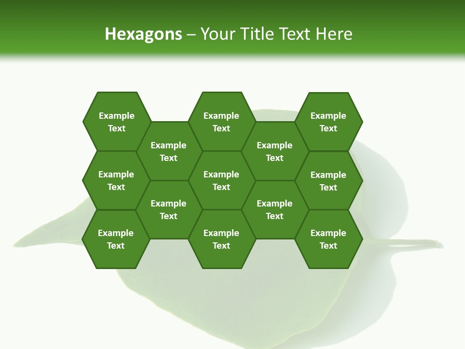 Feuilles Nature Feuille PowerPoint Template