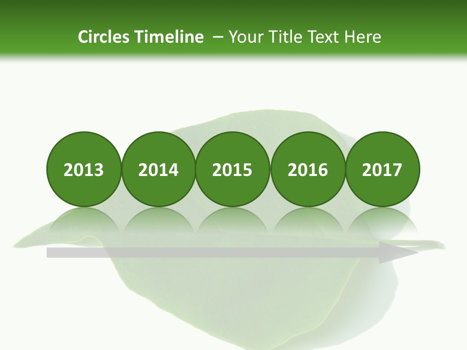 Feuilles Nature Feuille PowerPoint Template