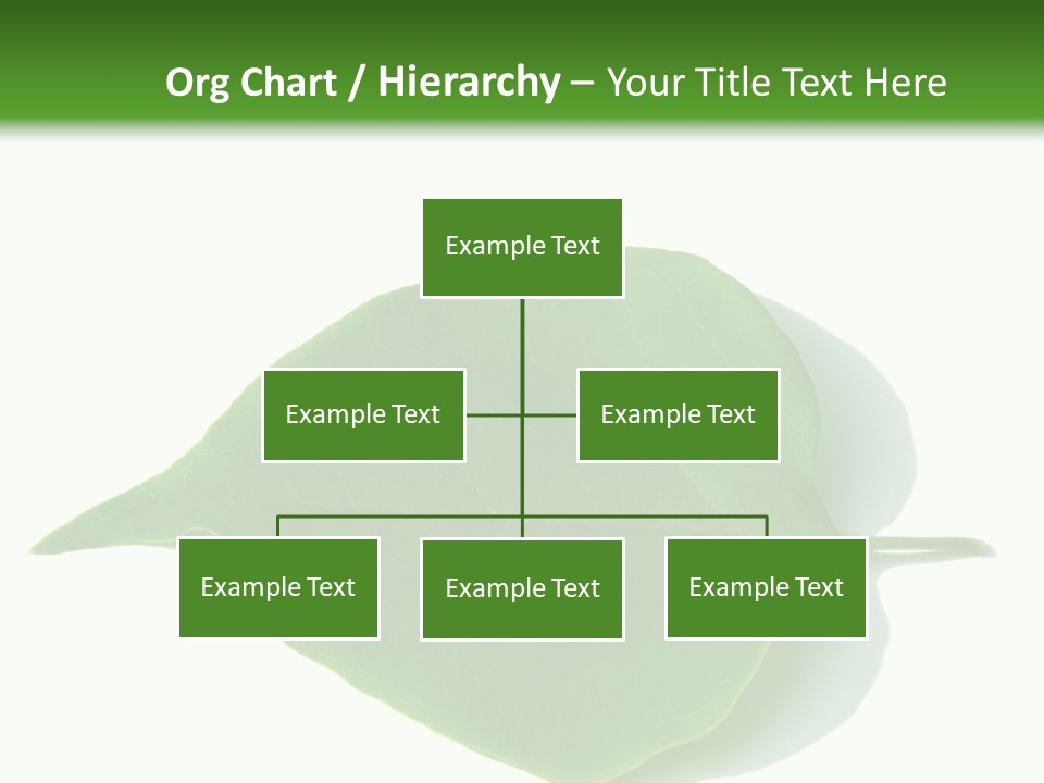 Feuilles Nature Feuille PowerPoint Template