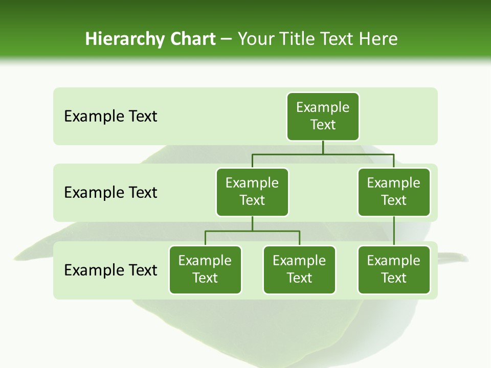 Feuilles Nature Feuille PowerPoint Template