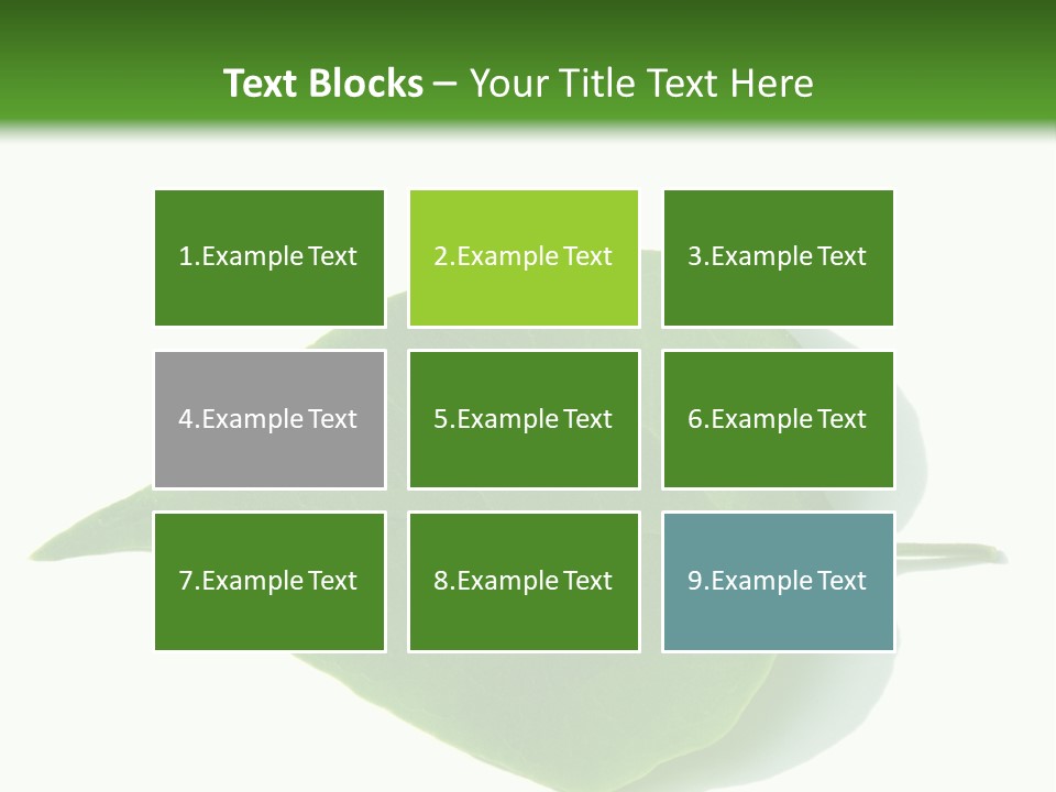 Feuilles Nature Feuille PowerPoint Template