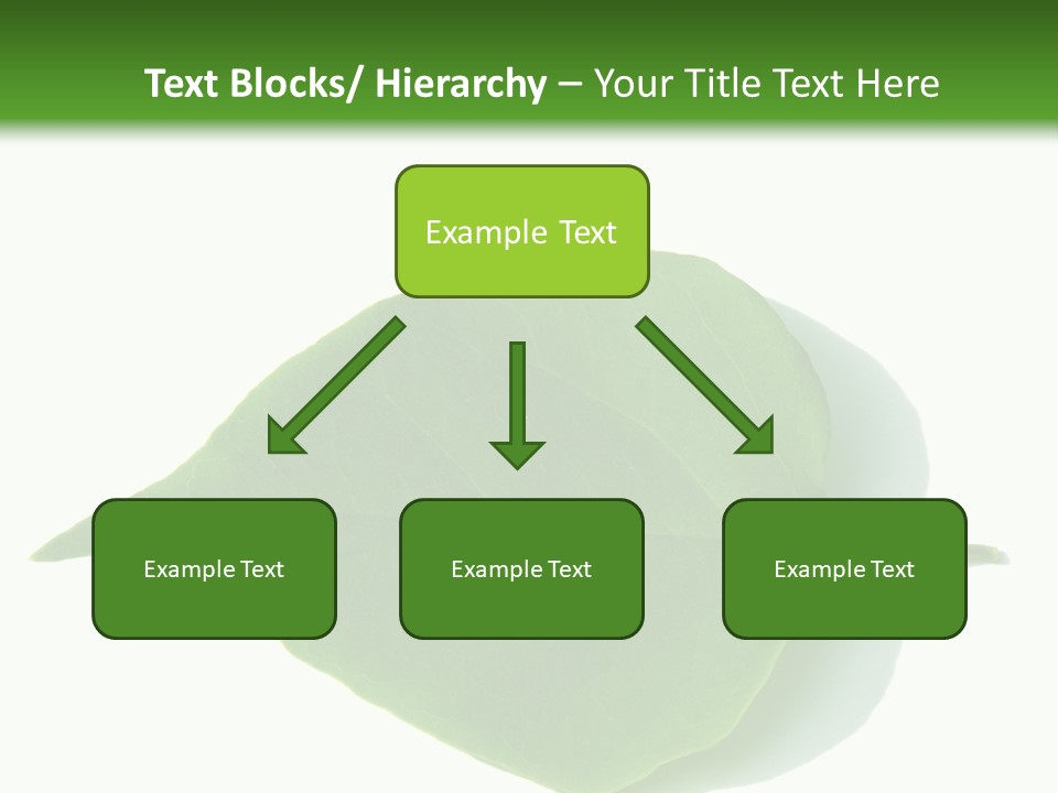 Feuilles Nature Feuille PowerPoint Template