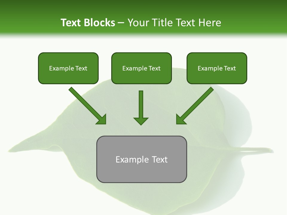Feuilles Nature Feuille PowerPoint Template
