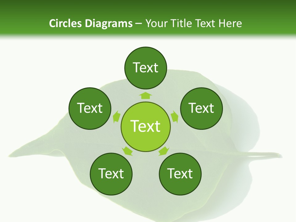 Feuilles Nature Feuille PowerPoint Template