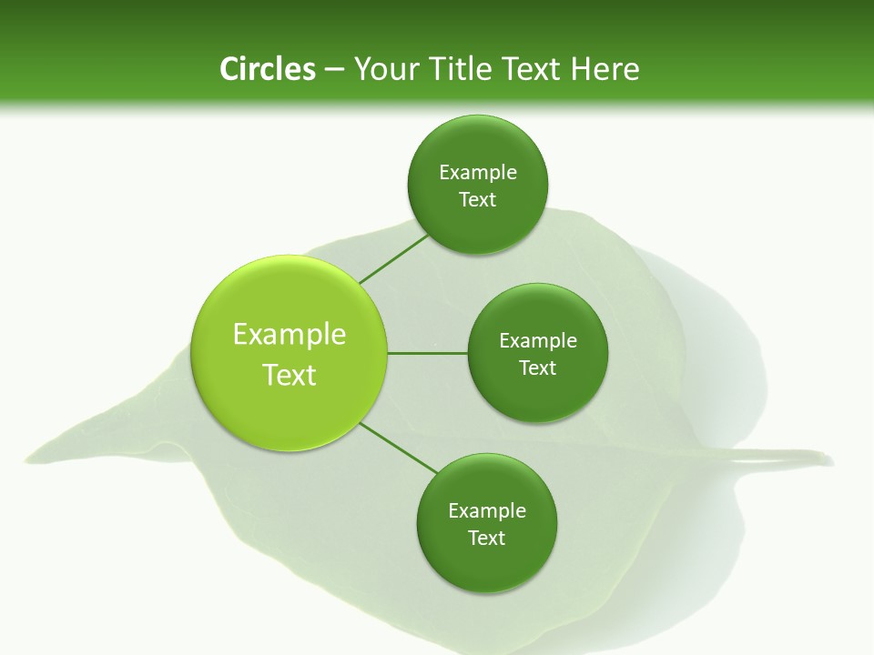 Feuilles Nature Feuille PowerPoint Template