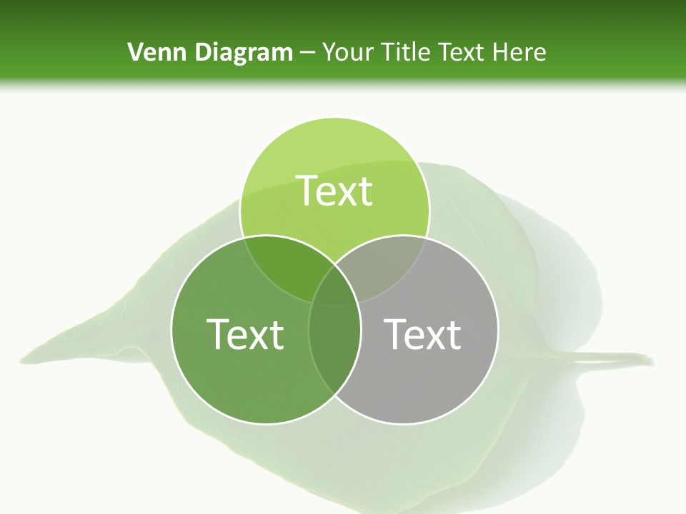 Feuilles Nature Feuille PowerPoint Template