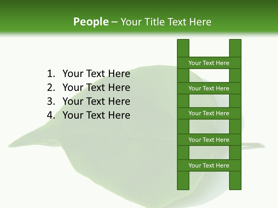 Feuilles Nature Feuille PowerPoint Template