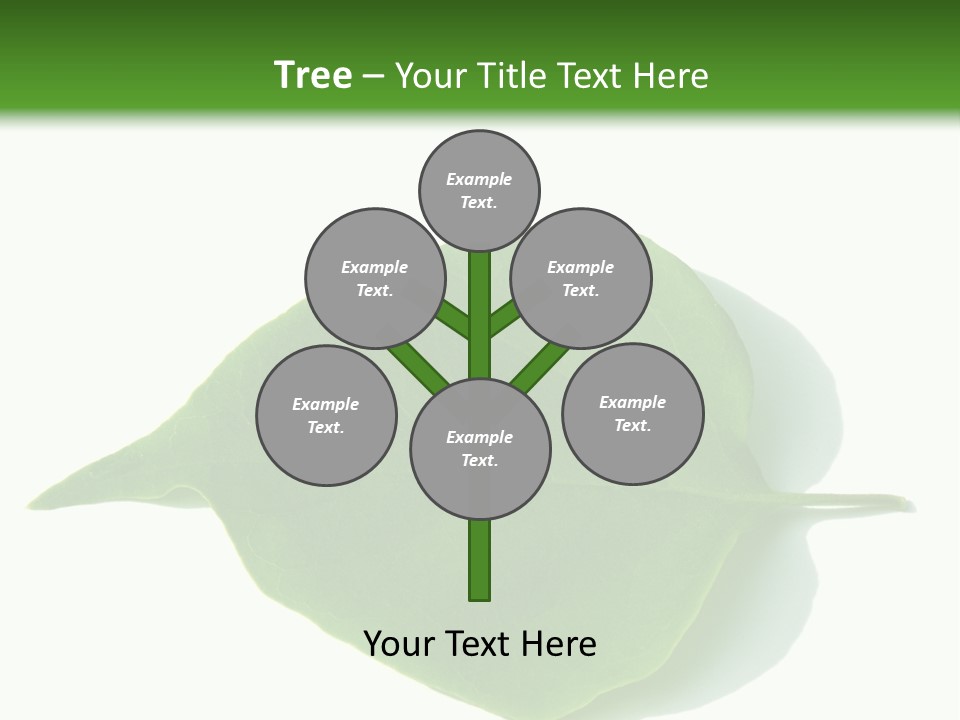 Feuilles Nature Feuille PowerPoint Template