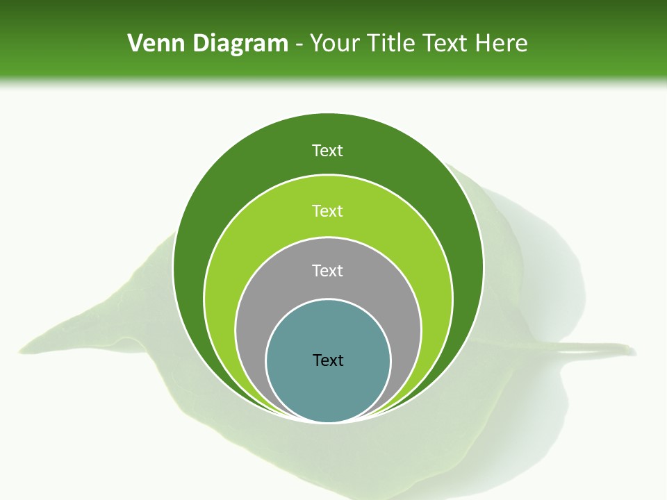 Feuilles Nature Feuille PowerPoint Template