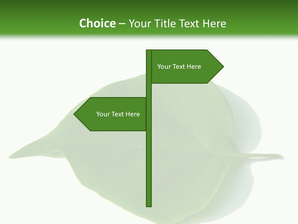 Feuilles Nature Feuille PowerPoint Template