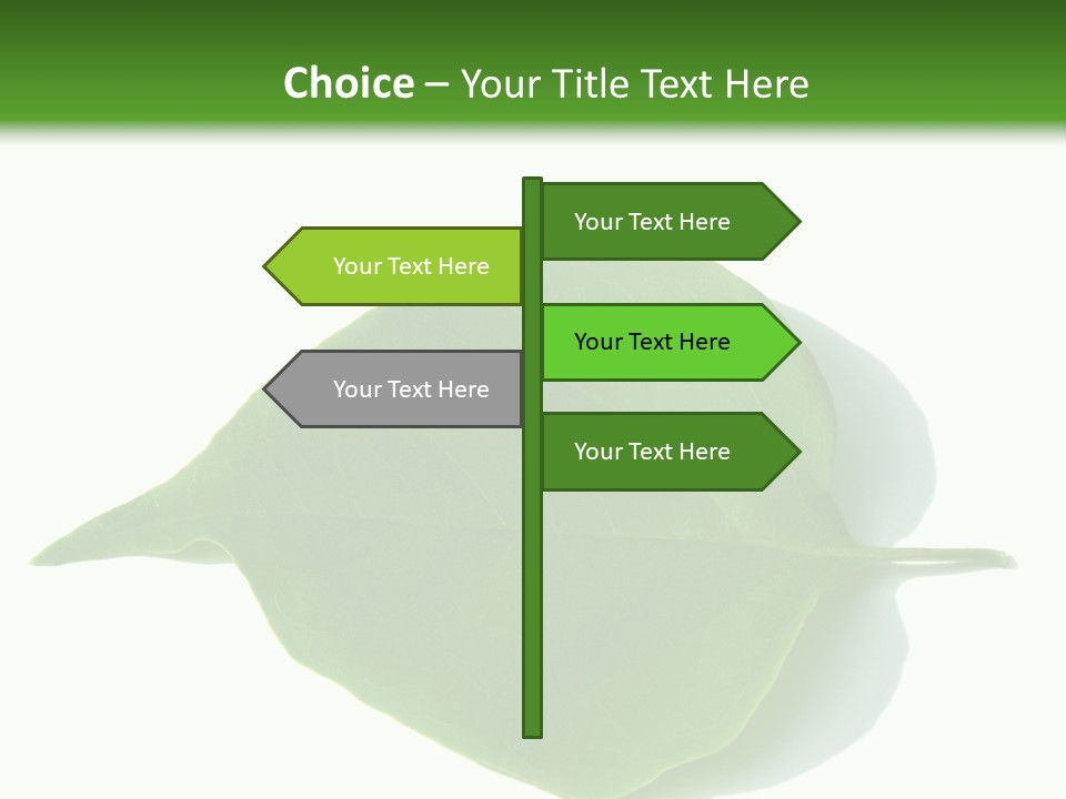 Feuilles Nature Feuille PowerPoint Template