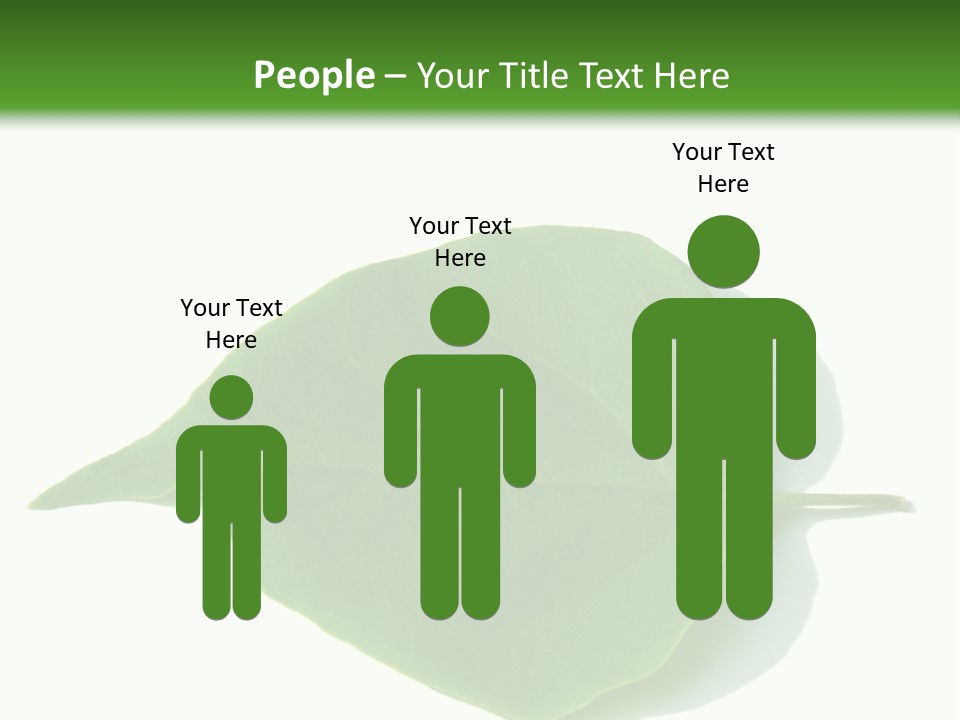 Feuilles Nature Feuille PowerPoint Template