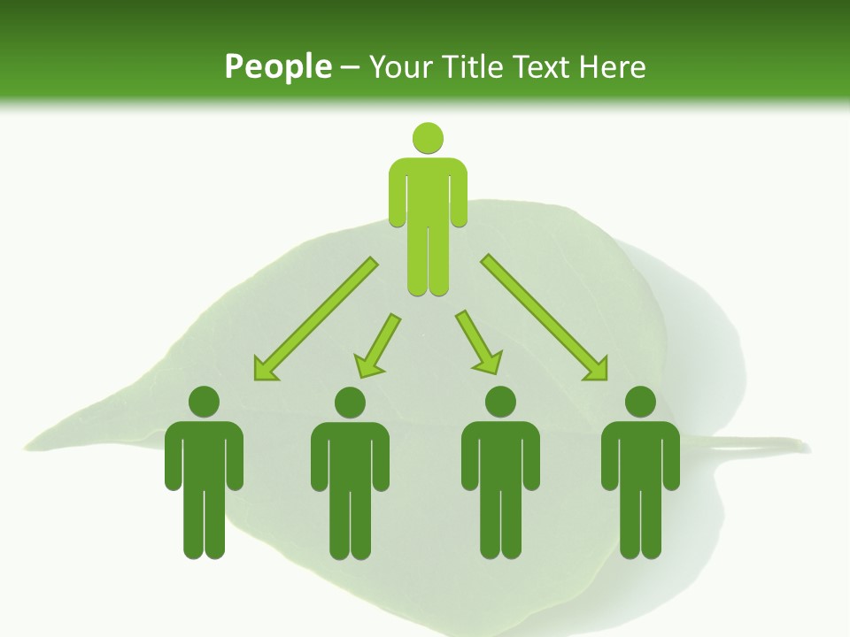 Feuilles Nature Feuille PowerPoint Template