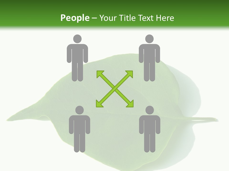 Feuilles Nature Feuille PowerPoint Template