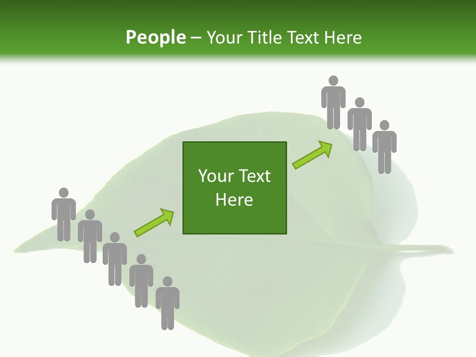 Feuilles Nature Feuille PowerPoint Template