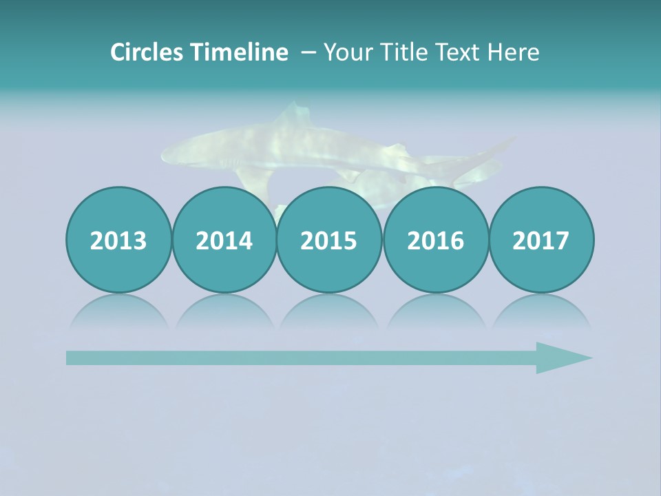 Pelagicos Azul Tiempo Libre PowerPoint Template