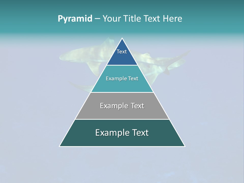 Pelagicos Azul Tiempo Libre PowerPoint Template