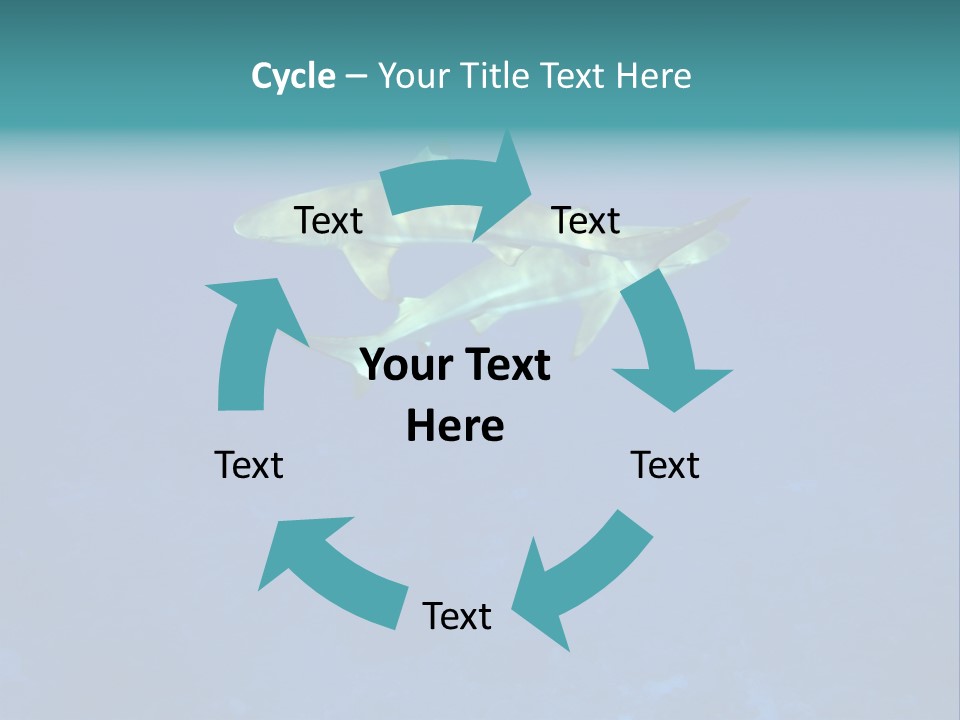 Pelagicos Azul Tiempo Libre PowerPoint Template
