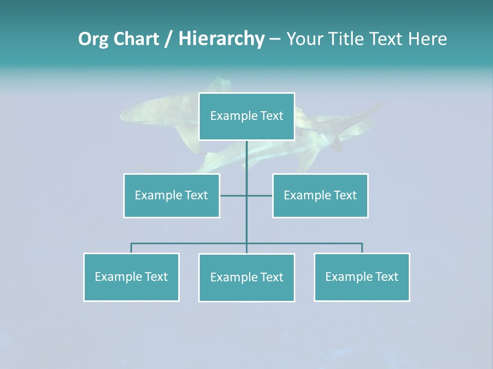 Pelagicos Azul Tiempo Libre PowerPoint Template