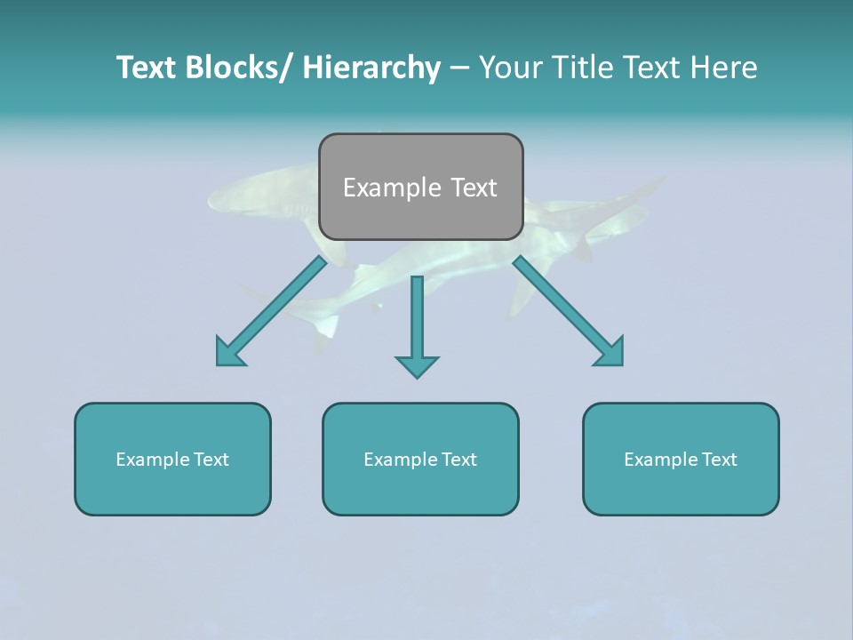 Pelagicos Azul Tiempo Libre PowerPoint Template