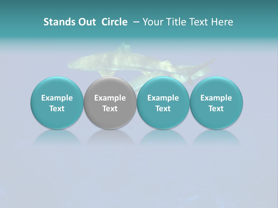 Pelagicos Azul Tiempo Libre PowerPoint Template