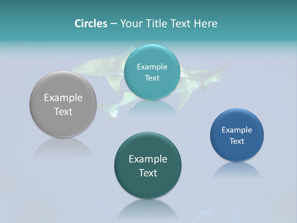 Pelagicos Azul Tiempo Libre PowerPoint Template