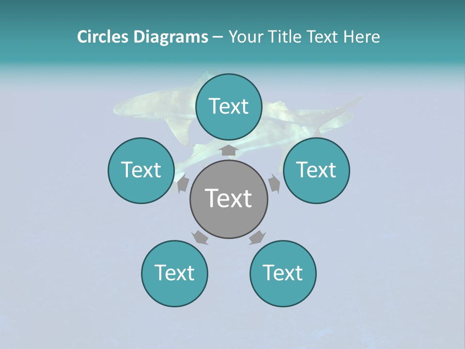 Pelagicos Azul Tiempo Libre PowerPoint Template