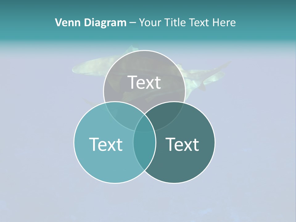 Pelagicos Azul Tiempo Libre PowerPoint Template